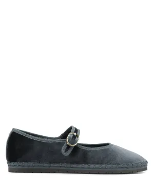Velours gris miel